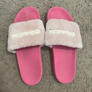 fuzzy coach slides